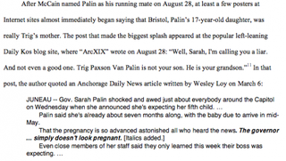 Illustration for article titled Did Sarah Palin Carry Out the Biggest Hoax in American Political History?